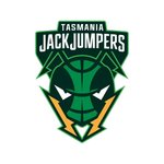 珀斯野猫