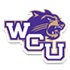 斯泰森大学