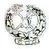 新国王