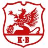 尼科平