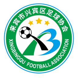 柳州市柳南区队