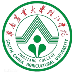 广东外语外贸大学二队